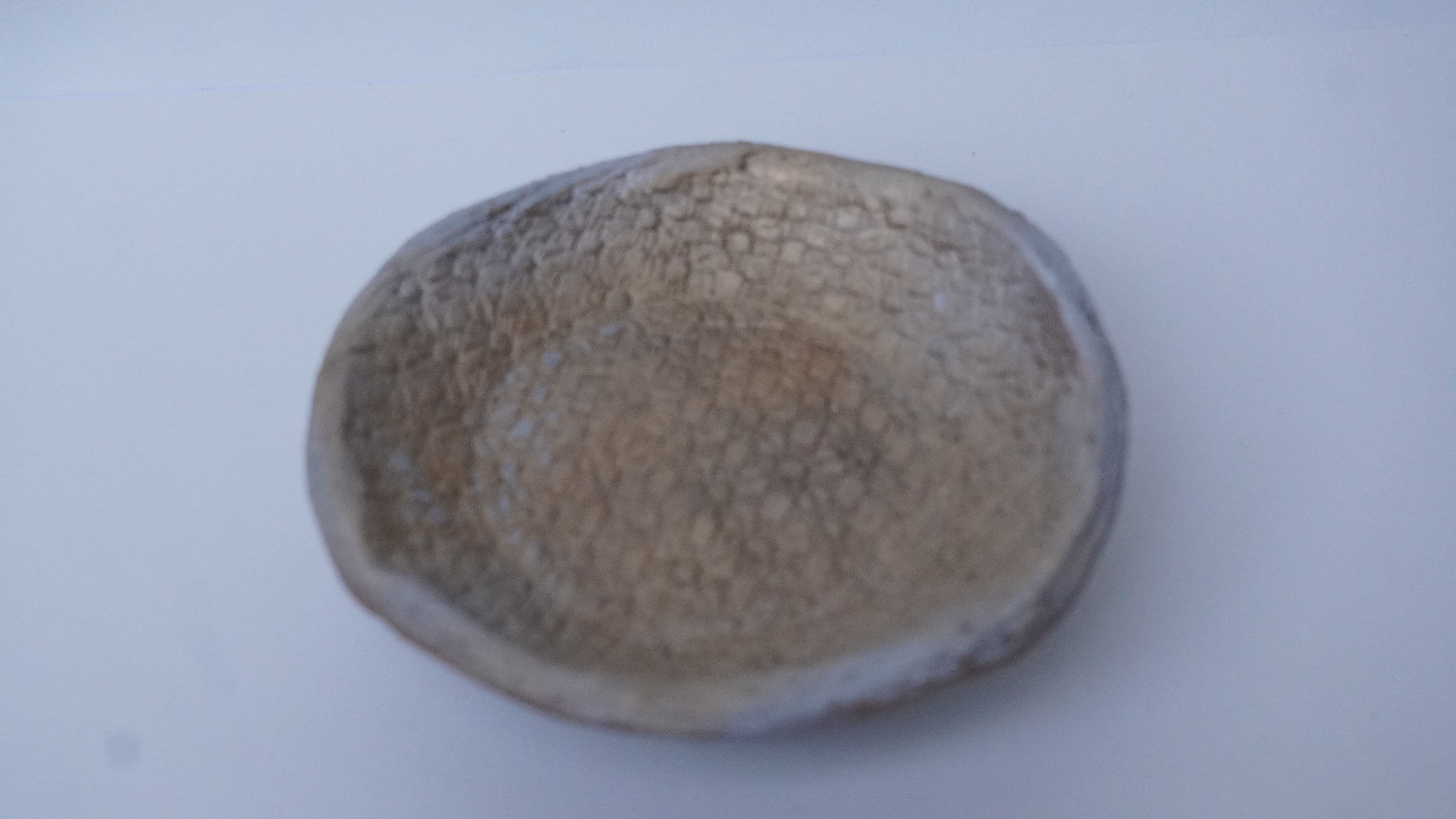 Small Textile Bowl(Golden, Silver,Red)